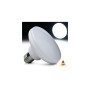 BILLARD LED LEUCHTMITTEL - 18 WATT
